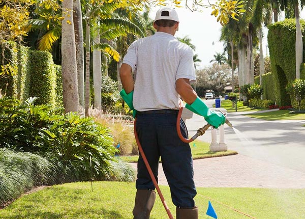 About Servia IN Pest Control